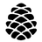 App Image